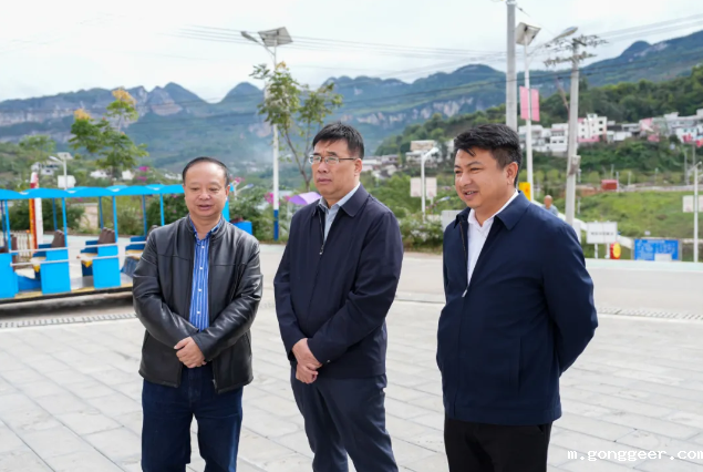 周杰带队到乡村振兴联系点开展帮扶调研